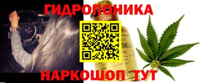 каннабис Будённовск