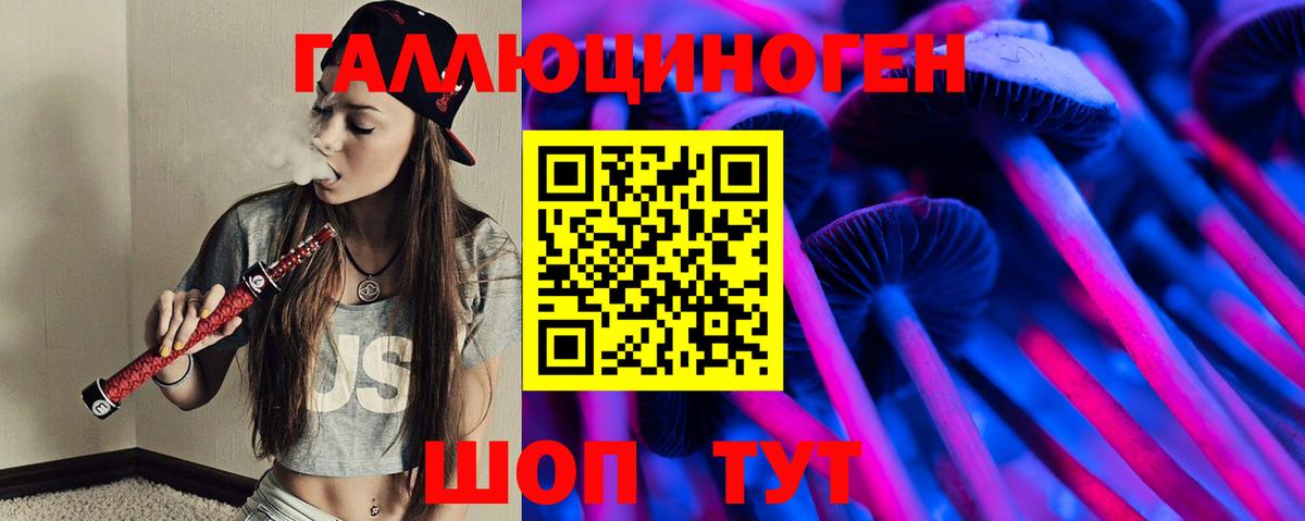 Сунжа  Псилоцибиновые грибы ЛСД  купить  сайты  Вход с VPN 